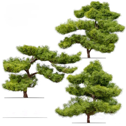 新中式盆景 新中式造型松树盆景3D模型免费下载_3dmax模型_3D艺墅网